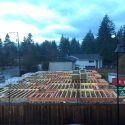 Nanaimo new home builders, foundation and framing of a new housing project.